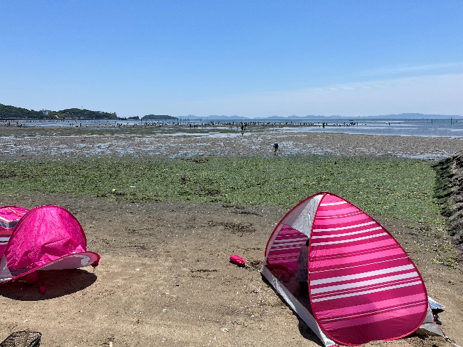 ６月ブログ
