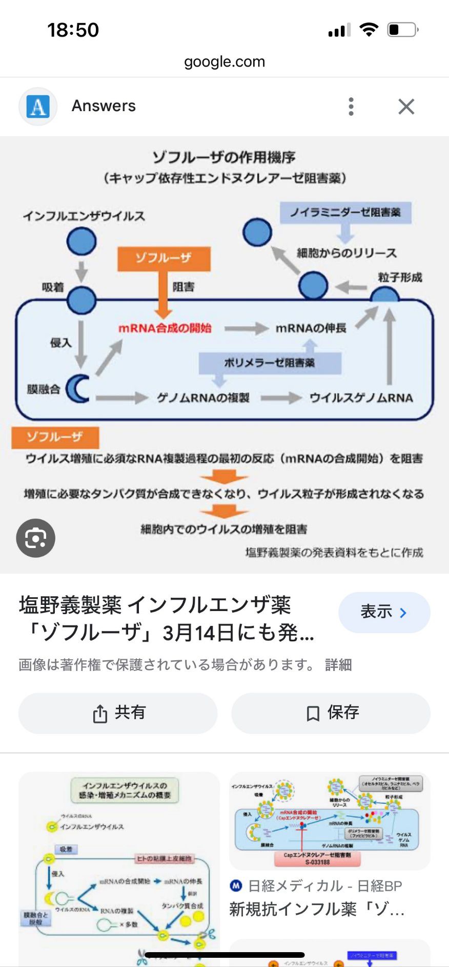 10月ブログ